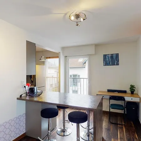 Le Berthollet 9 - Renovated 1 Bedroom 2 Steps - Center Annecy